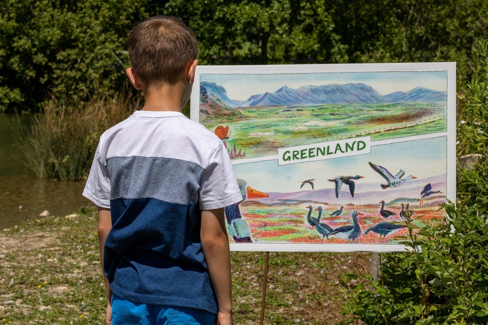 New Postcard Adventure Trail at WWT Llanelli Wetland Centre for the Summer Holidays
